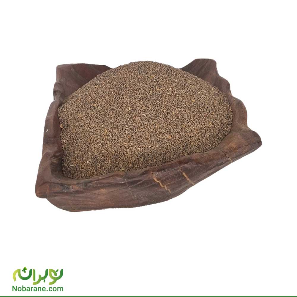 بذر البنج