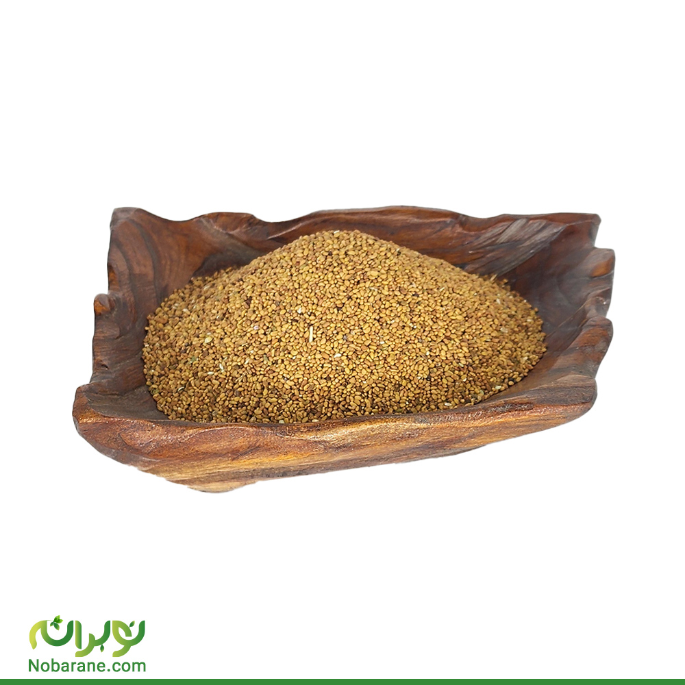 بذر یونجه